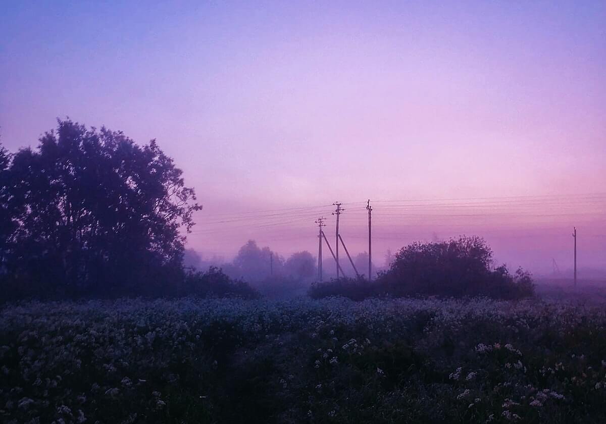 app下载-【夜读】浩克与佩雷拉决裂，拒绝参加比赛？！